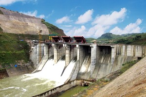 Cổ đông lớn thoái vốn không thành, Thuỷ điện Miền Trung (CHP) muốn phát hành hơn 10,7 triệu cổ phiếu tăng vốn