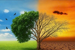 ADB: Đầu tư vào thiên nhiên là chìa khóa cho tương lai thịnh vượng của châu Á và Thái Bình Dương