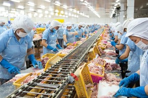 Chủ tịch HĐQT Nam Việt (ANV) muốn thoái toàn bộ vốn