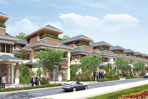 Dự án đúng tiến độ hút khách