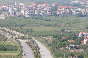 Buôn đất quê, lãi… “quả đắng”!