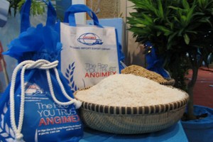 AGM: Lợi nhuận mục tiêu 2014 tăng trưởng tới 77%