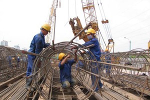 Cienco 4 đấu giá đắt khách