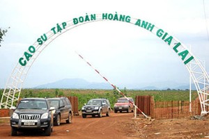 HAG huy động xong 1.000 tỷ đồng trái phiếu năm 2014