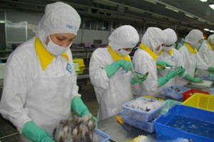 FMC sẽ phát hành 7 triệu cổ phiếu tăng vốn lên 200 tỷ đồng