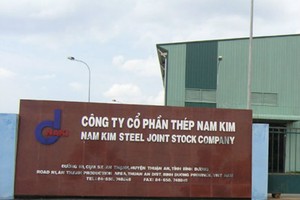 NKG phát hành riêng lẻ 10 triệu cổ phiếu cho P&Q