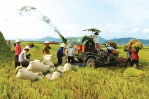 Tìm kế sách vực vốn FDI vào nông nghiệp