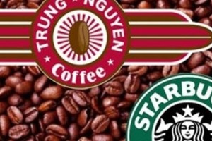 Starbuks ồ ạt mở cửa hàng, vua cà phê “tắt tiếng“