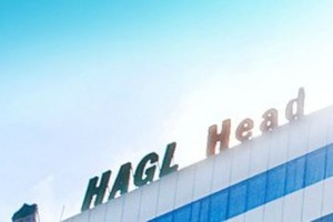 9 tháng, HAG đạt 1.653 tỷ đồng lợi nhuận sau thuế