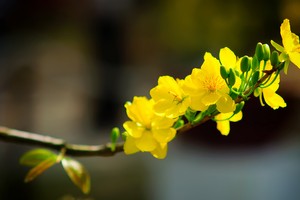 Sự kiện chứng khoán đáng chú ý cuối tuần