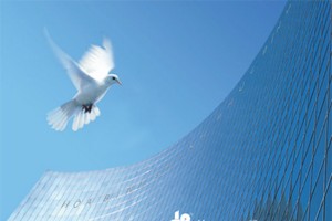 HBC mới hoàn thành 41% kế hoạch lợi nhuận 2014