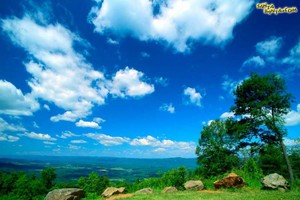 Sự kiện chứng khoán đáng chú ý ngày 12/3