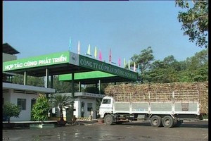 NHS thoái hết gần 88% vốn tại Mía đường Phan Rang