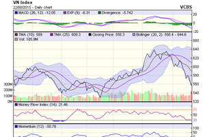 Biểu đồ kỹ thuật VN-Index. Nguồn: VCBS