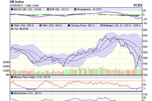 Biểu đồ kỹ thuật VN-Index. Nguồn: VCBS