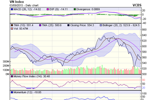 Biểu đồ kỹ thuật VN-Index. Nguồn: VCBS