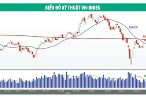 Tâm lý được giải tỏa, VN-Index tăng điểm
