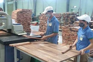 TTF: Thành viên HĐQT bị phạt 35 triệu đồng