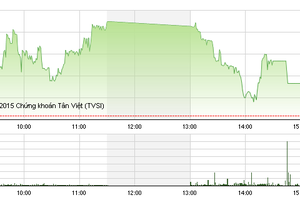 Phiên giao dịch chiều 25/12: Mã trụ không giữ nổi thị trường