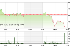 Phiên giao dịch chiều 13/1: Chốt lời sớm cổ phiếu đầu cơ