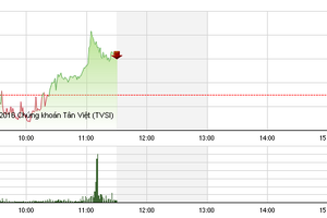 Phiên giao dịch sáng 19/2: Đột biến cặp đôi HAG - HNG