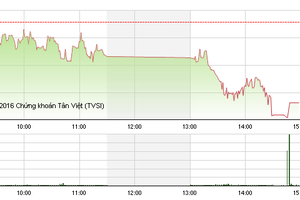 Phiên chiều 17/6: ETFs bán mạnh, VN-Index mất mốc 620 điểm