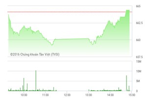 Phiên chiều 23/12: Thoát hiểm phút chót