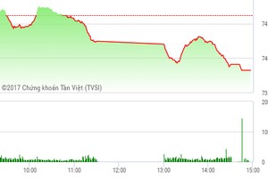 Phiên chiều 30/5: Thi nhau xả hàng, VN-Index lao dốc