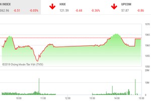 Phiên chiều 16/1: Cổ phiếu nhỏ khởi sắc, VN-Index giảm điểm đáng tiếc
