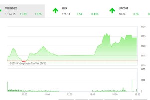 Phiên chiều 8/3: Bluechips trở lại, VN-Index tăng gần 12 điểm