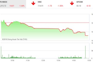 Phiên chiều 14/6: Dòng tiền chuyển hướng, VN-Index giảm mạnh