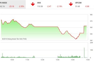Phiên chiều 19/6: Lực cầu bắt đáy chặn đà rơi của VN-Index