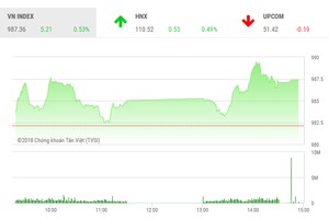 Phiên chiều 23/8: Cổ phiếu vốn hóa lớn giữ nhịp thị trường