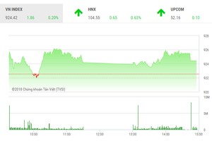 Phiên chiều 22/11: Thị trường phân hóa, VN-Index bị níu chân