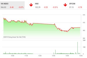 Phiên chiều 13/8: Sắc đỏ ngập tràn, VN-Index mất gần 9 điểm