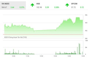 Phiên chiều 20/8: Bluechips thiếu đồng thuận, VN-Index hụt mốc 985 điểm