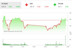 Phiên chiều 13/2: Cổ phiếu nhỏ nổi sóng, VN-Index may mắn thoát hiểm