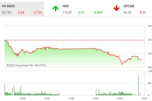 Phiên chiều 18/2: Cổ phiếu vốn hóa lớn đè thị trường, VN-Index mất mốc 930 điểm