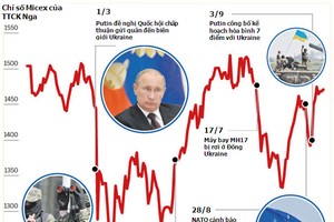 NĐT Nga cảnh giác với “diễn biến hòa bình” ở Ukraine