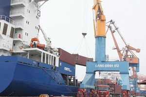 DVP năm 2015 lãi 281 tỷ đồng, EPS hơn 7.000 đồng/CP