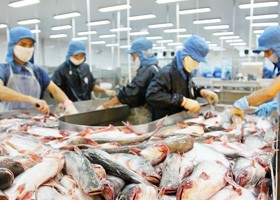 Không nên cho nhập khẩu những nguyên liệu mà Việt Nam có thế mạnh nuôi trồng.