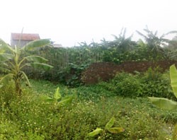 Những mảnh đất được “cò” quảng cáo sẽ nằm cạnh trục tây Thăng Long với giá 30-40 triệu đồng/m2