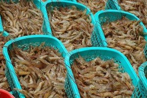 Ngành thủy, hải sản thiếu nguyên liệu chế biến