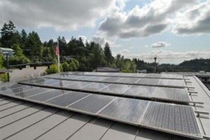 Tấm thu năng lượng Mặt Trời. (Nguồn: AP)