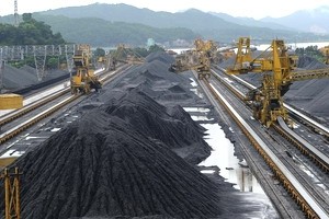 Ảnh minh họa. (Ảnh: Kim Phương/TTXVN)