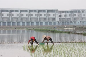 Giá đất nông nghiệp 2012 được giữ nguyên mức cũ.