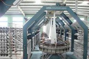 BTG tạm ứng cổ tức 20% bằng tiền mặt