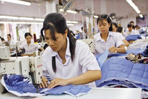 PTG trả cổ tức bằng cổ phiếu tỷ lệ 1:1