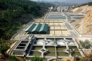 Viwase công bố thông tin chưa đúng luật