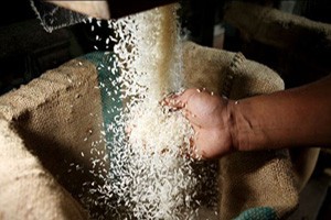 Lợi dụng trợ giá gạo để trục lợi